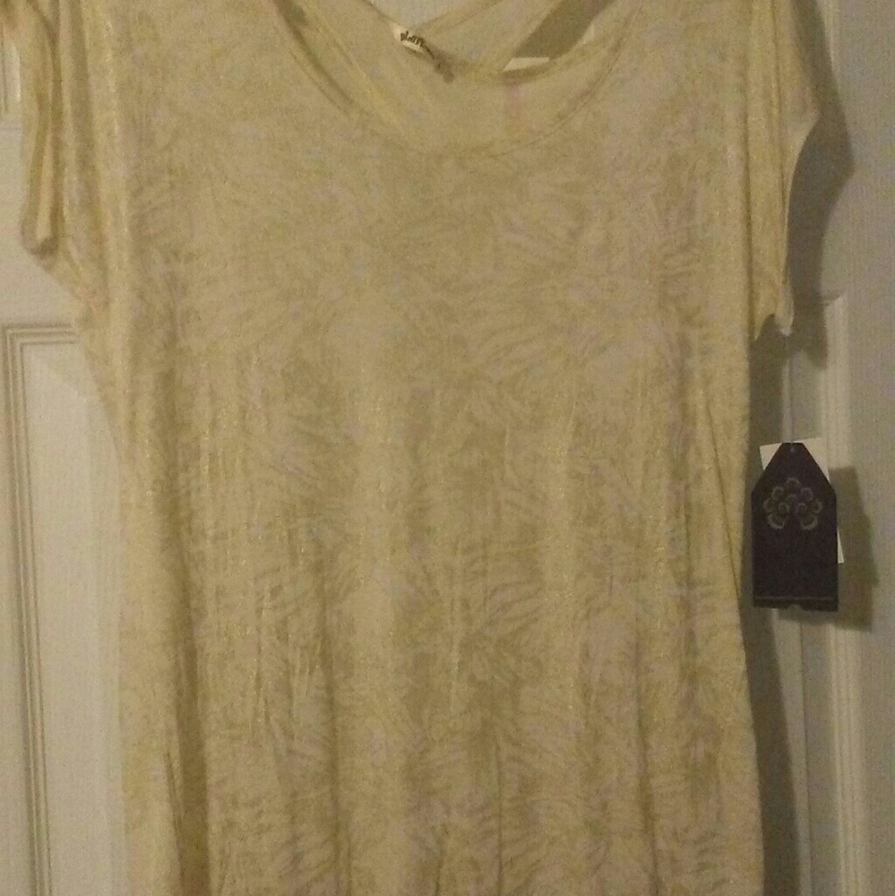 Ladies top